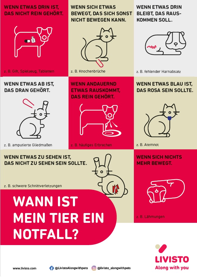 https://www.ihre-tierarztpraxis-giesenkirchen.de/.cm4all/mediadb/Wann-ist-mein-Tier-ein-Notfall-.jpg